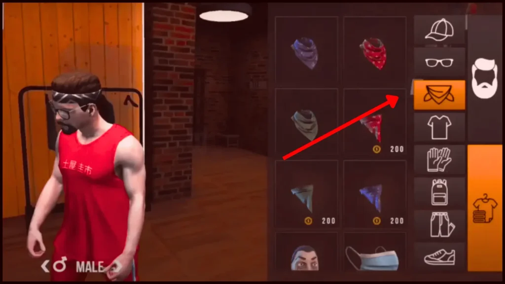 Character Customization